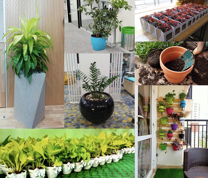 506310878-one12