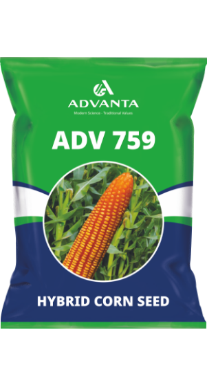 ADV759NEWPackshot