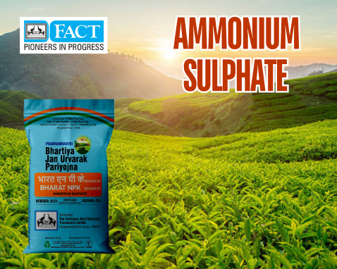Ammonium-sulphate_7719