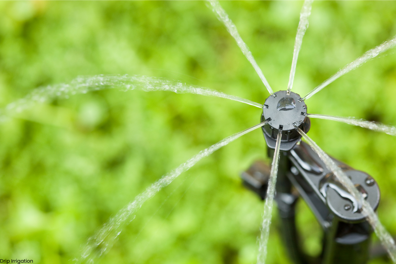 Drip_Irrigation