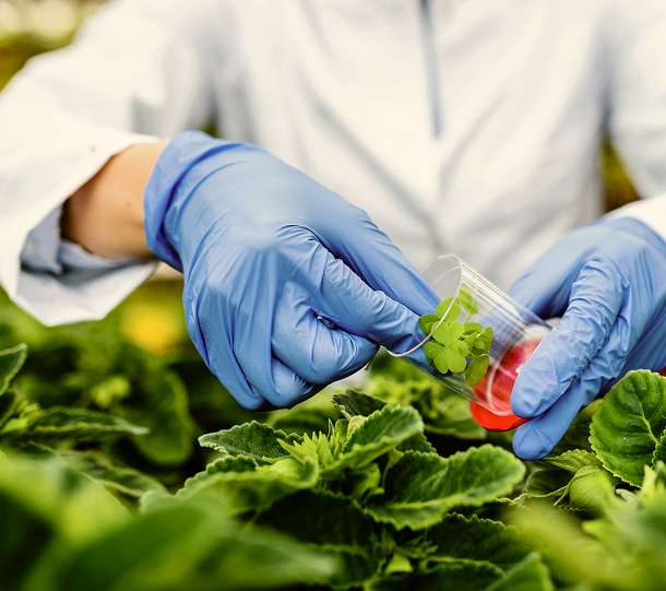 closeup-biologist-taking-sample-plant-while-working-plant-nursery-1