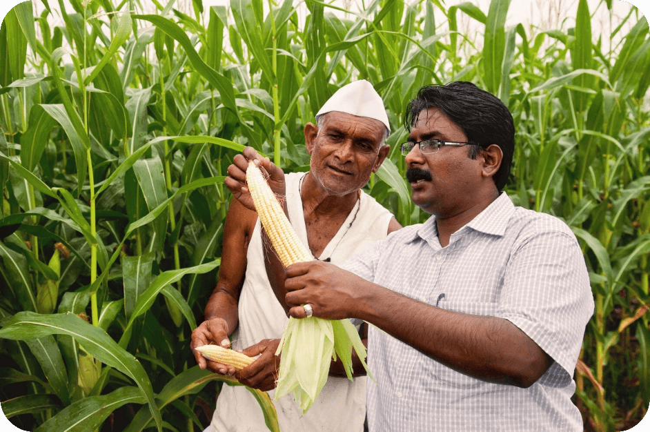 dekalb_farmer_and_corn-top-pic