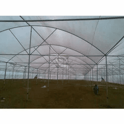 greenhouse-structure-250×250