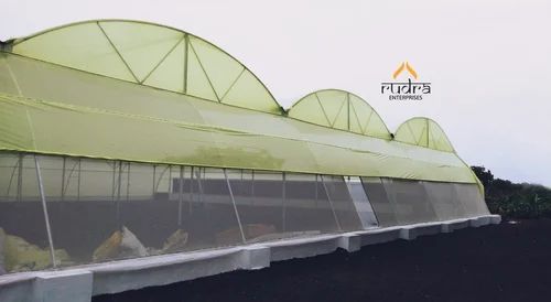 nvph-greenhouse-manufacuturer-mob-9552541064-9-500×500
