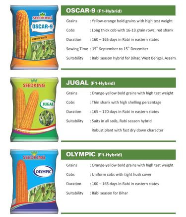 seed-king-brochure_page-0004-m2W85wlwnPUD2ByR