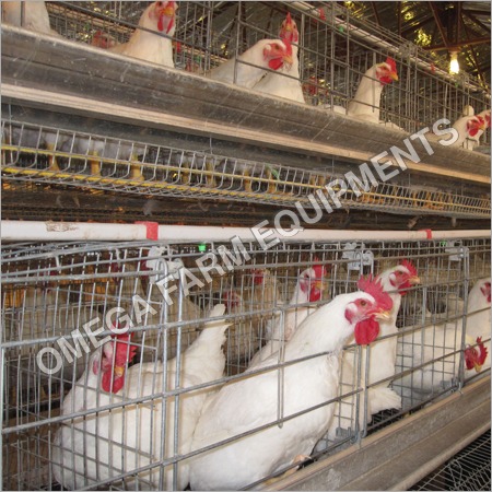 Broiler-Breeder-Layer-Cage